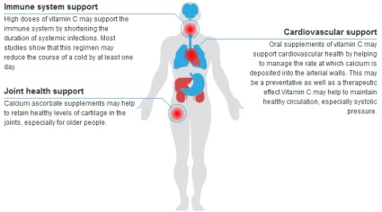 Công dụng của Vitamin C